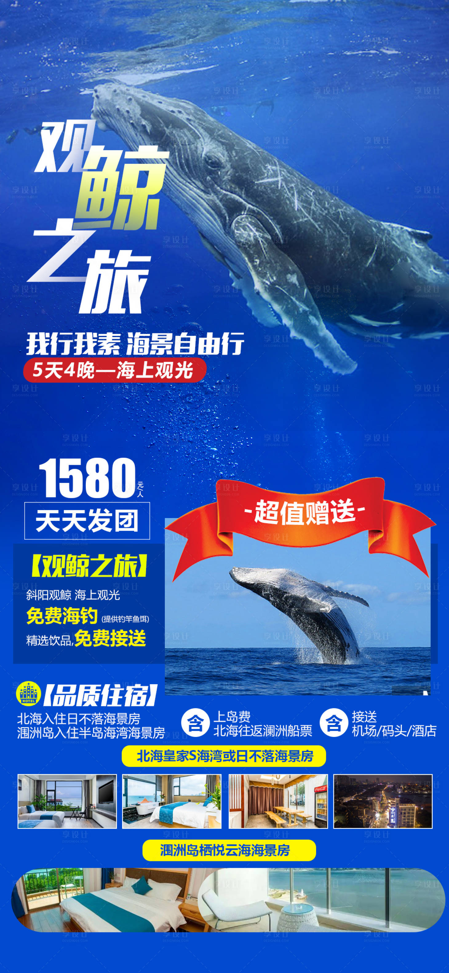 源文件下載【觀鯨之旅海報】編號：56440020692079801