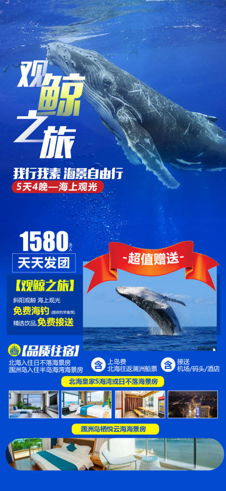 编号：20231130123201338【享设计】源文件下载-观鲸之旅海报