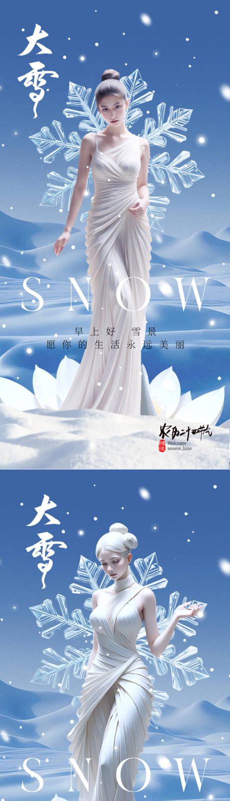 源文件下载【医美大雪冬至二十四节气海报】编号：20231124171604309