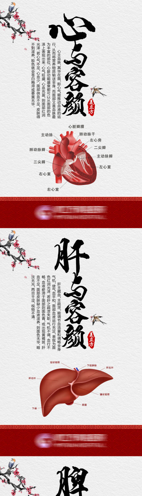 源文件下載【享設計】搜索編號：40610020493584920【醫美中醫科普系列海報】