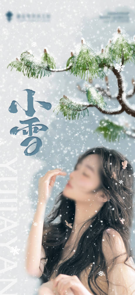 源文件下载【小雪节气海报】编号：76040020386829051