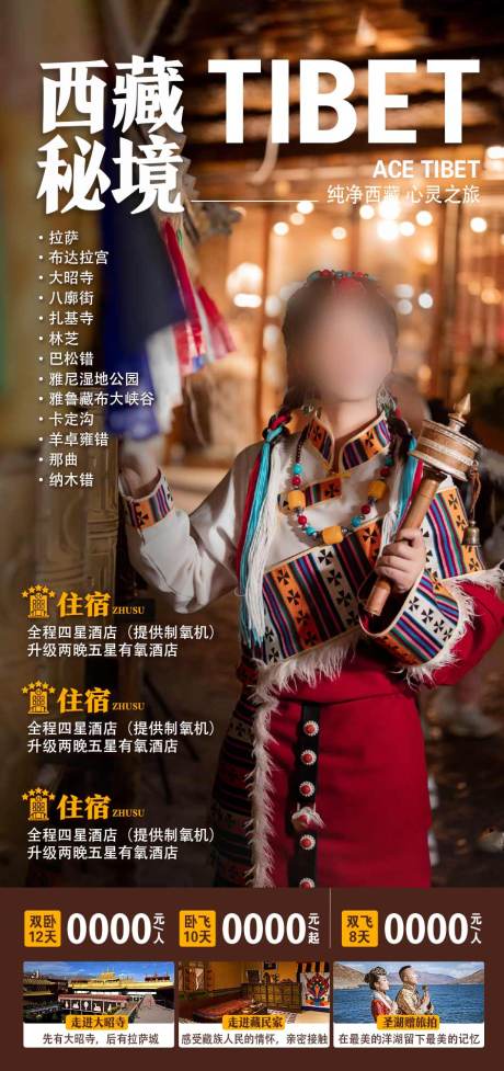 编号：20231115164404325【享设计】源文件下载-西藏旅游海报