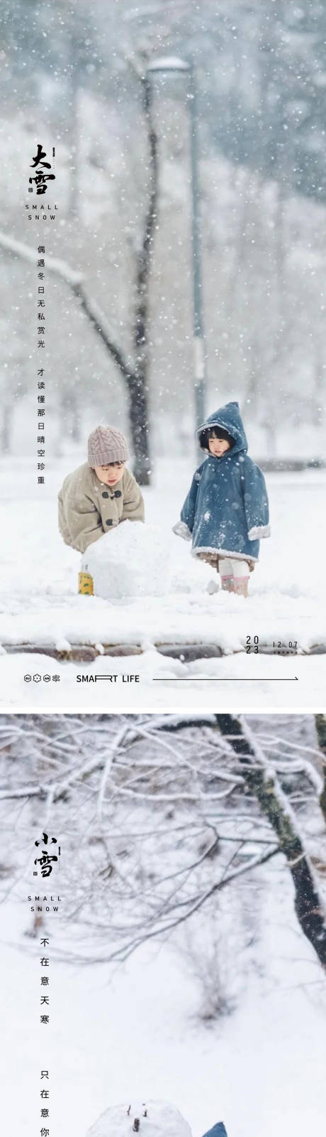 源文件下載【小雪大雪小寒大寒風景雪花海報 】編號：50480020247622694