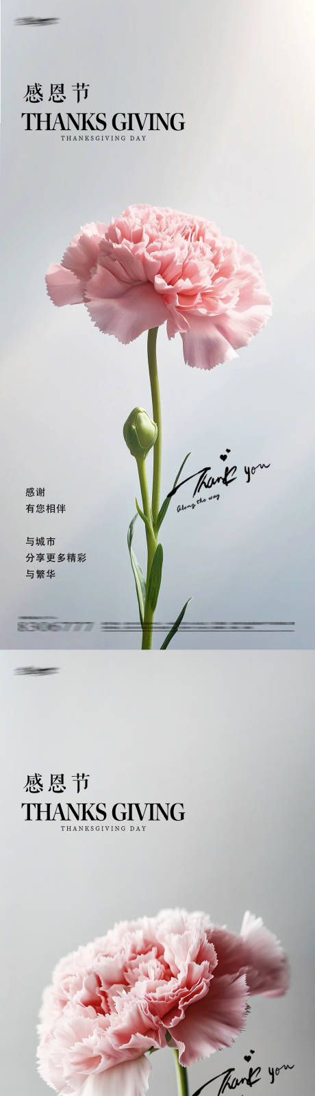 源文件下载【享设计】搜索编号：58500020160724763【感恩节康乃馨鲜花海报】