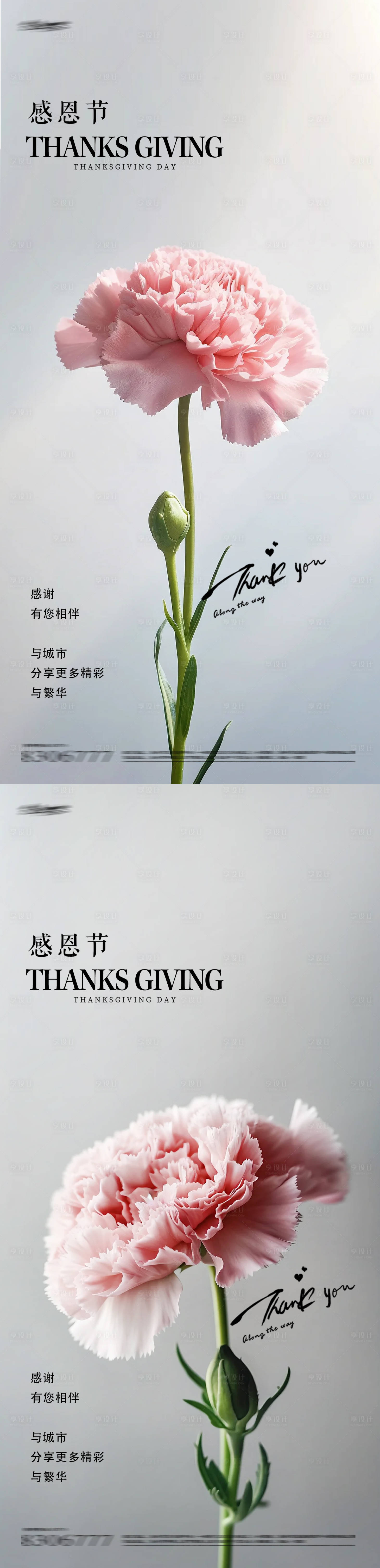源文件下载【享设计】搜索编号：58500020160724763【感恩节康乃馨鲜花海报】