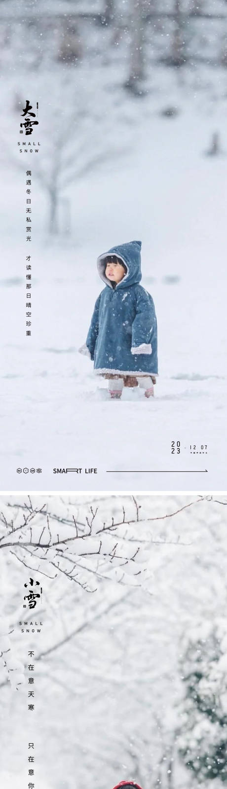 源文件下载【小雪大雪小寒大寒风景雪花海报   】编号：38660020247604403