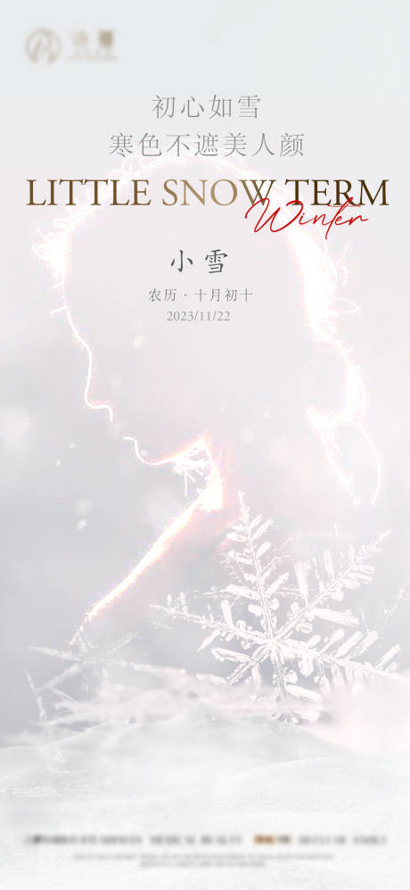 源文件下载【医美小雪大雪 】编号：20231121164920649