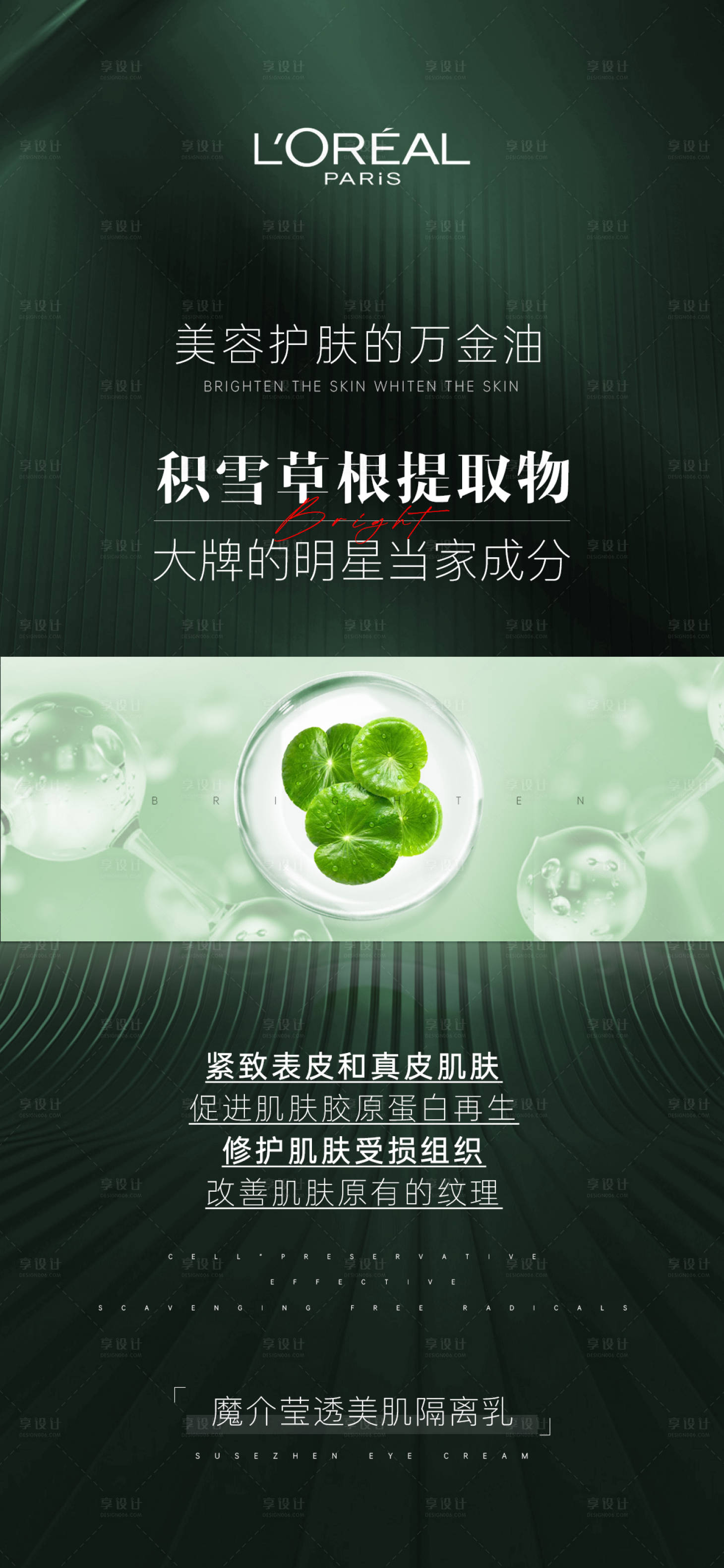 源文件下载【核心成分海报】编号：67190020316707004