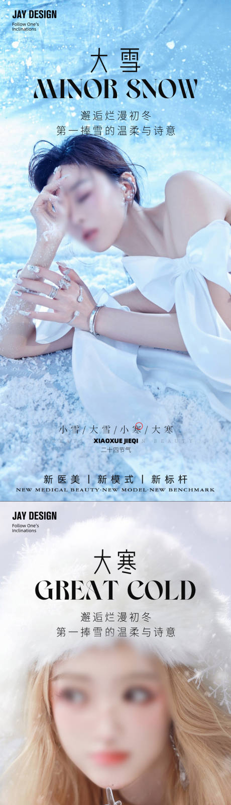 源文件下载【大雪大寒小寒海报】编号：48480020613312707