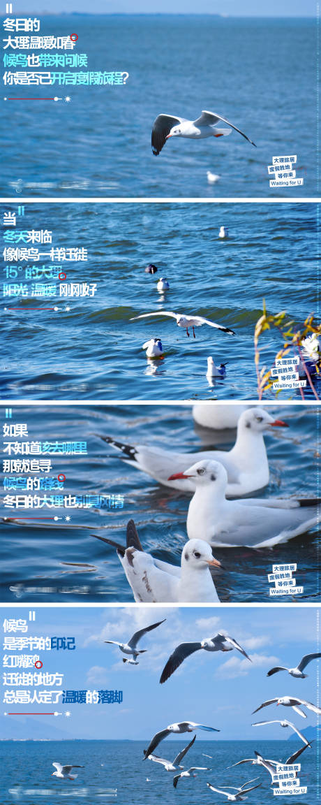 源文件下載【文旅旅居項目價值點系列】編號：36340020327647569