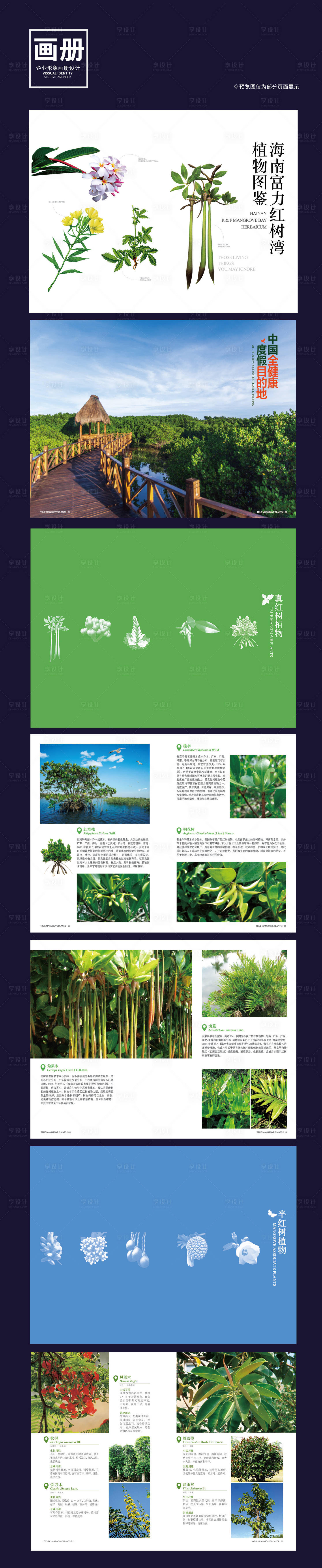 编号：20231107213545167【享设计】源文件下载-红树林植物图鉴植物画册宣传册