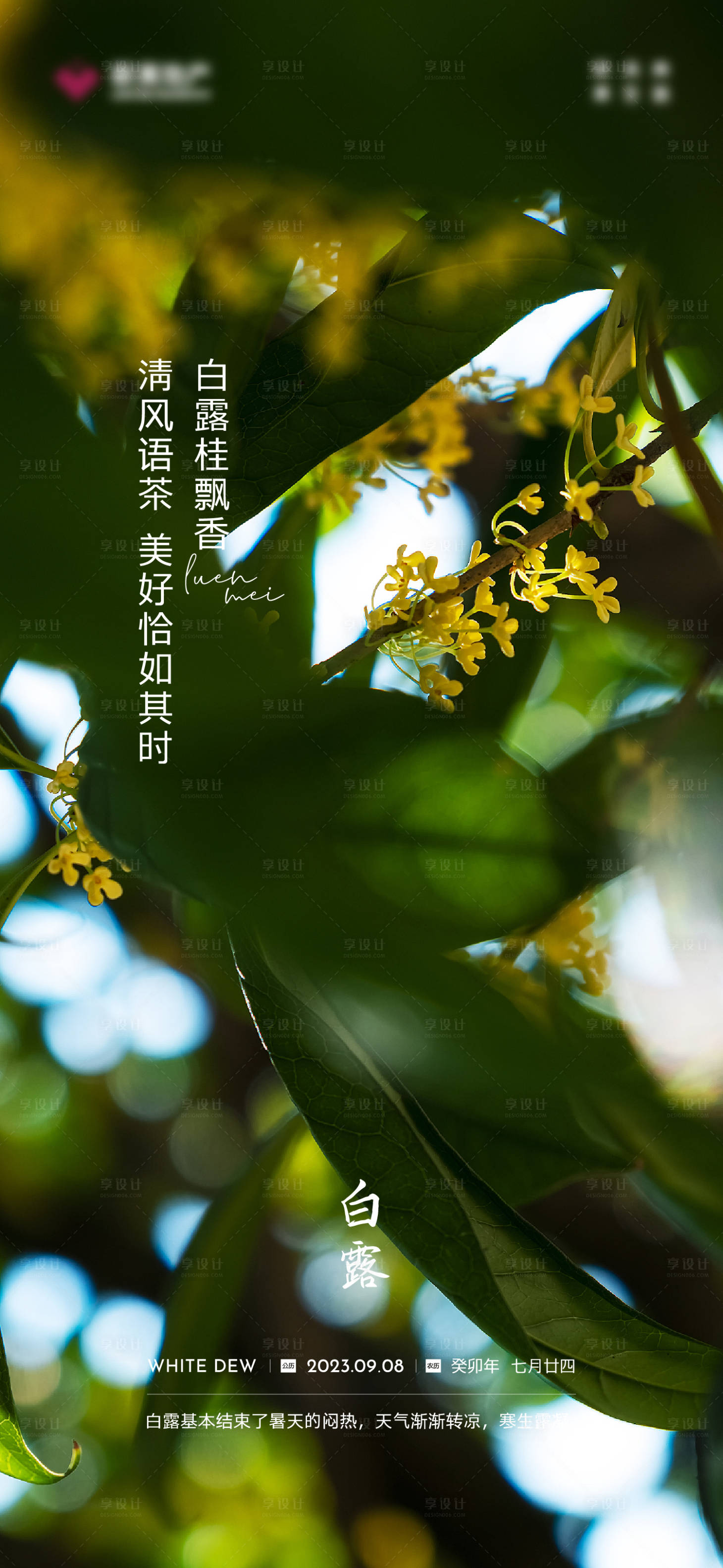 源文件下载【享设计】搜索编号：97820020647094996【白露海报 】