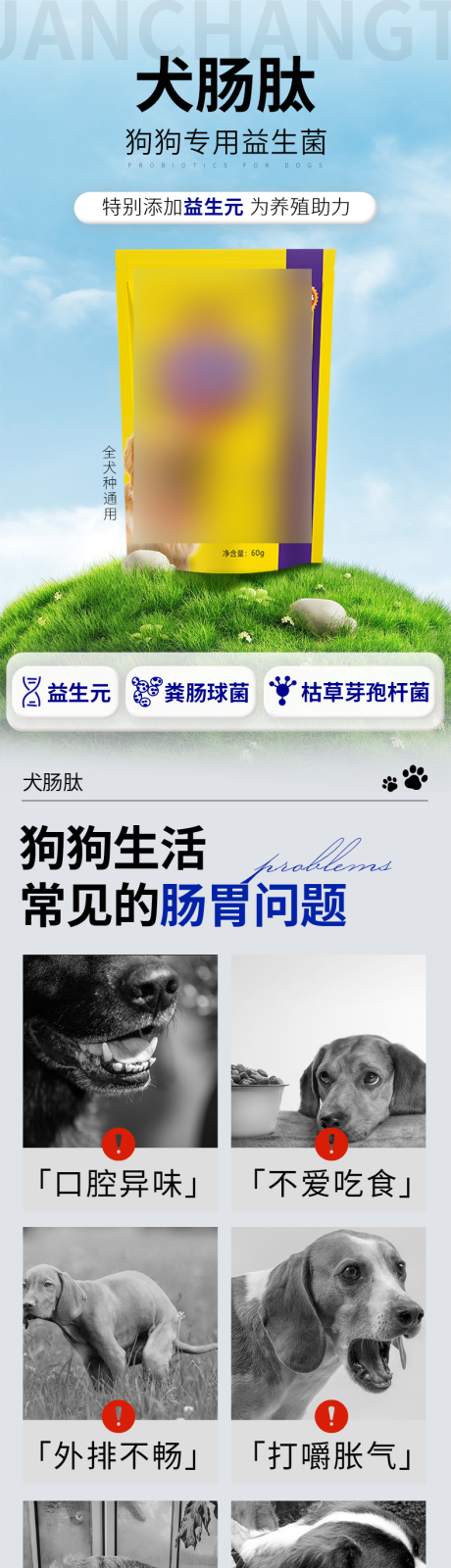 源文件下载【狗狗专用肠胃调节详情页】编号：19470020193186399