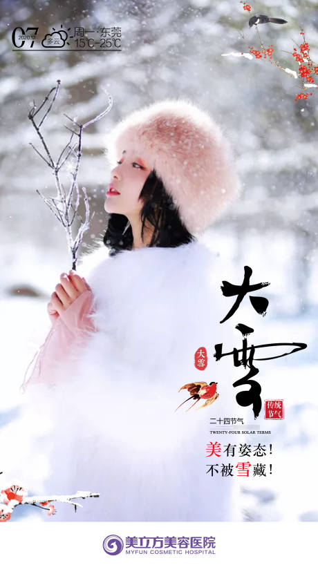 源文件下载【医美大雪节气海报】编号：20231119112151773