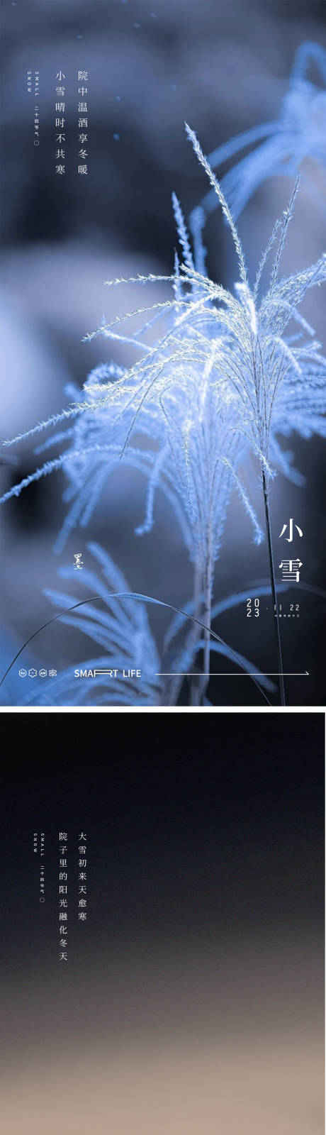 源文件下载【小雪大雪海报】编号：20231107105231218