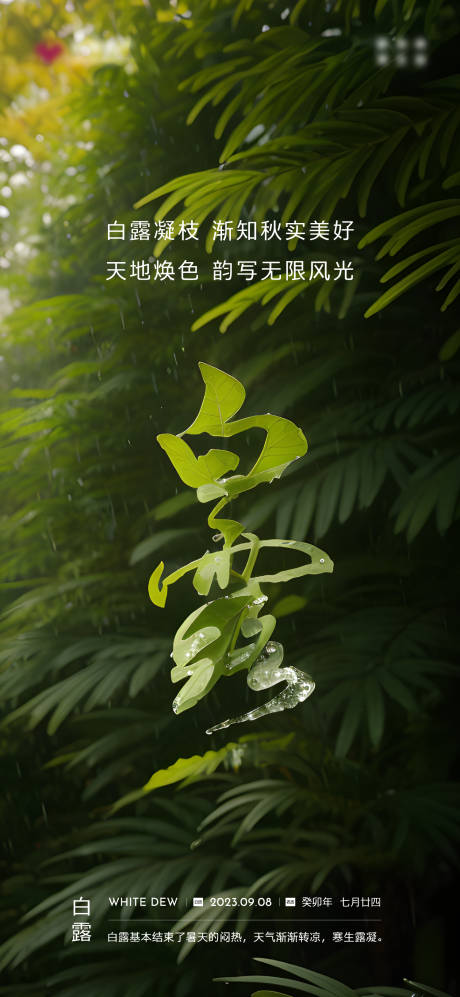 源文件下载【享设计】搜索编号：80760020647109424【白露节气海报 】