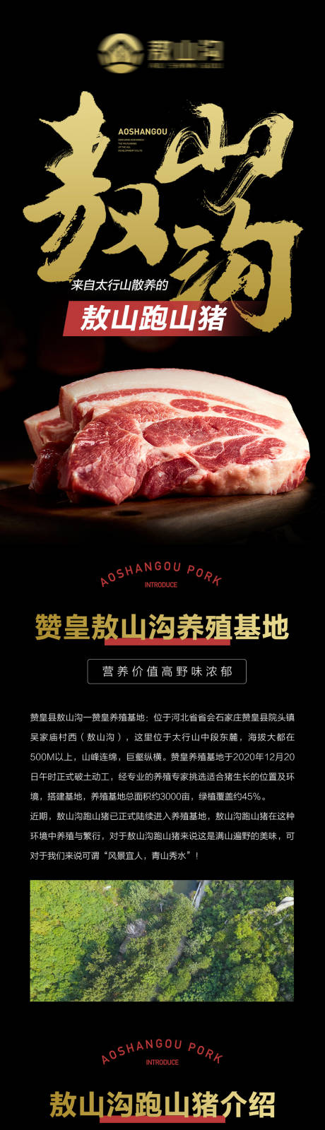 黑猪肉详情页