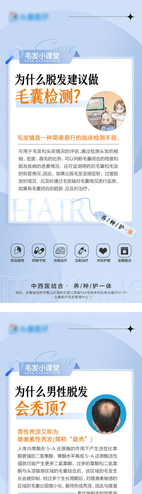源文件下载【毛发小科普】编号：47970020412637172