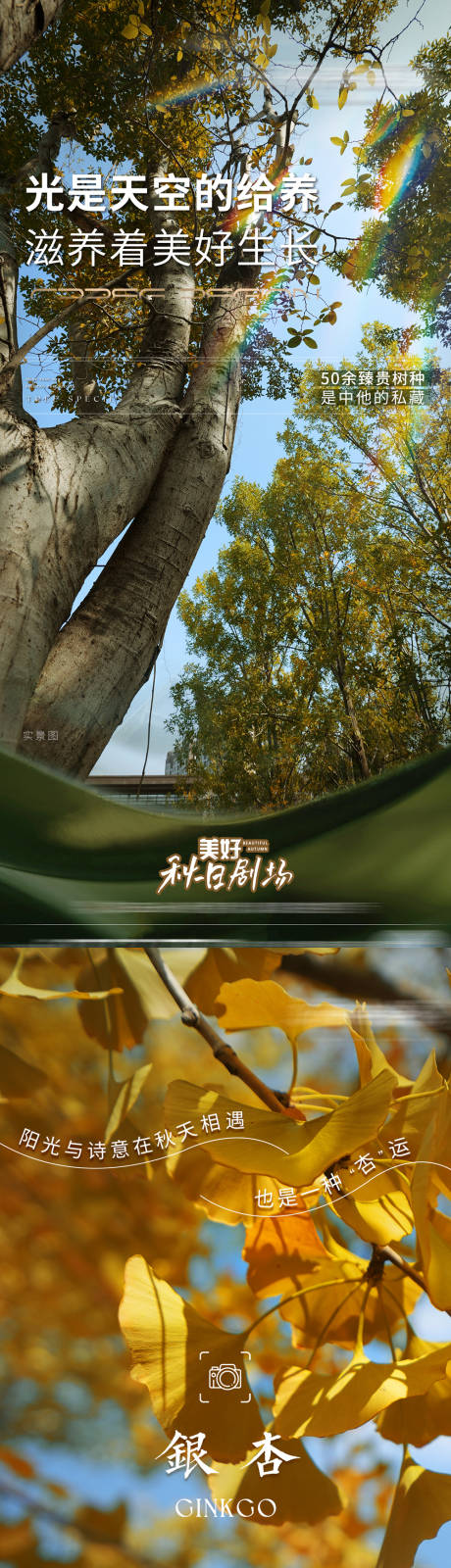 源文件下載【享設計】搜索編號：71990020444025492【樹種賣點系列海報】