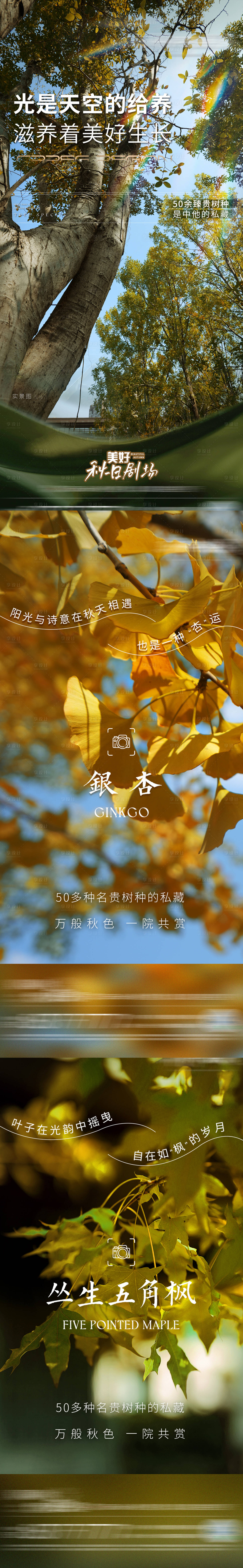 源文件下载【享设计】搜索编号：71990020444025492【树种卖点系列海报】