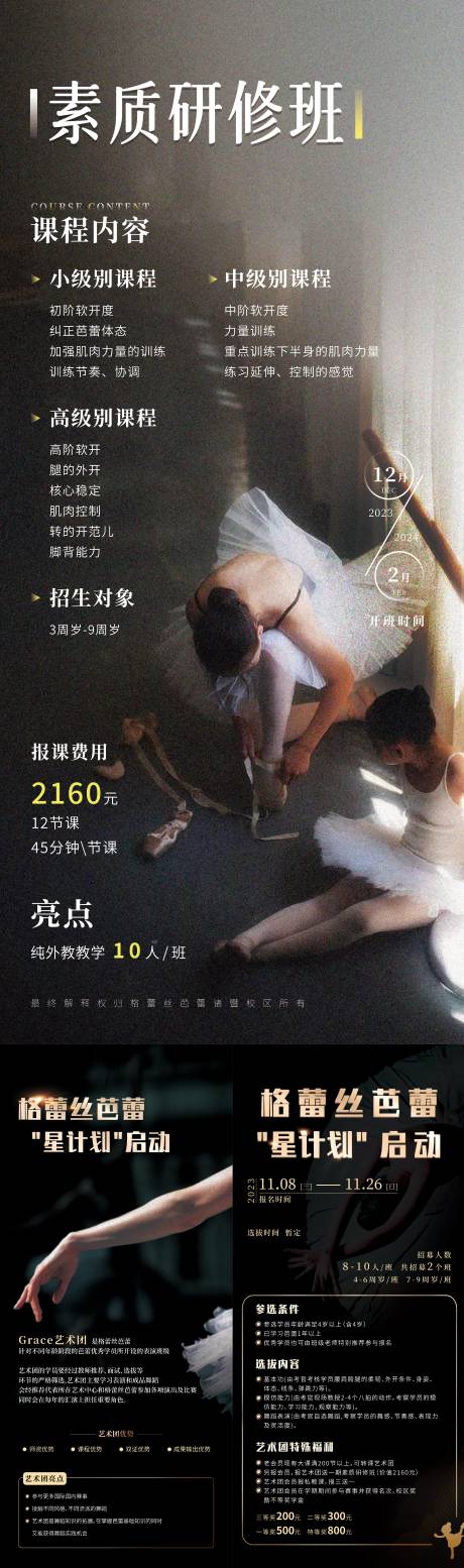 源文件下载【舞蹈机构项目展架】编号：99870020371852919