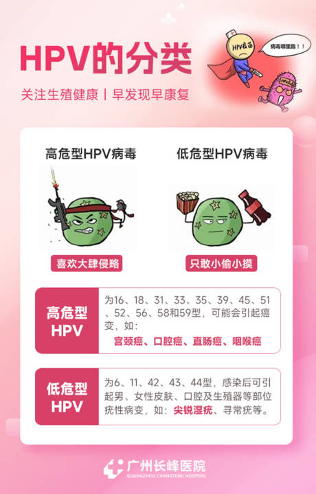 源文件下载【HPV科普海报】编号：20231107135538714