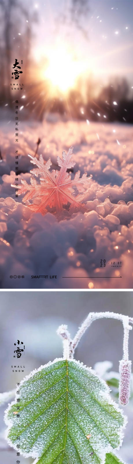 源文件下载【小雪大雪海报】编号：20231107111745934