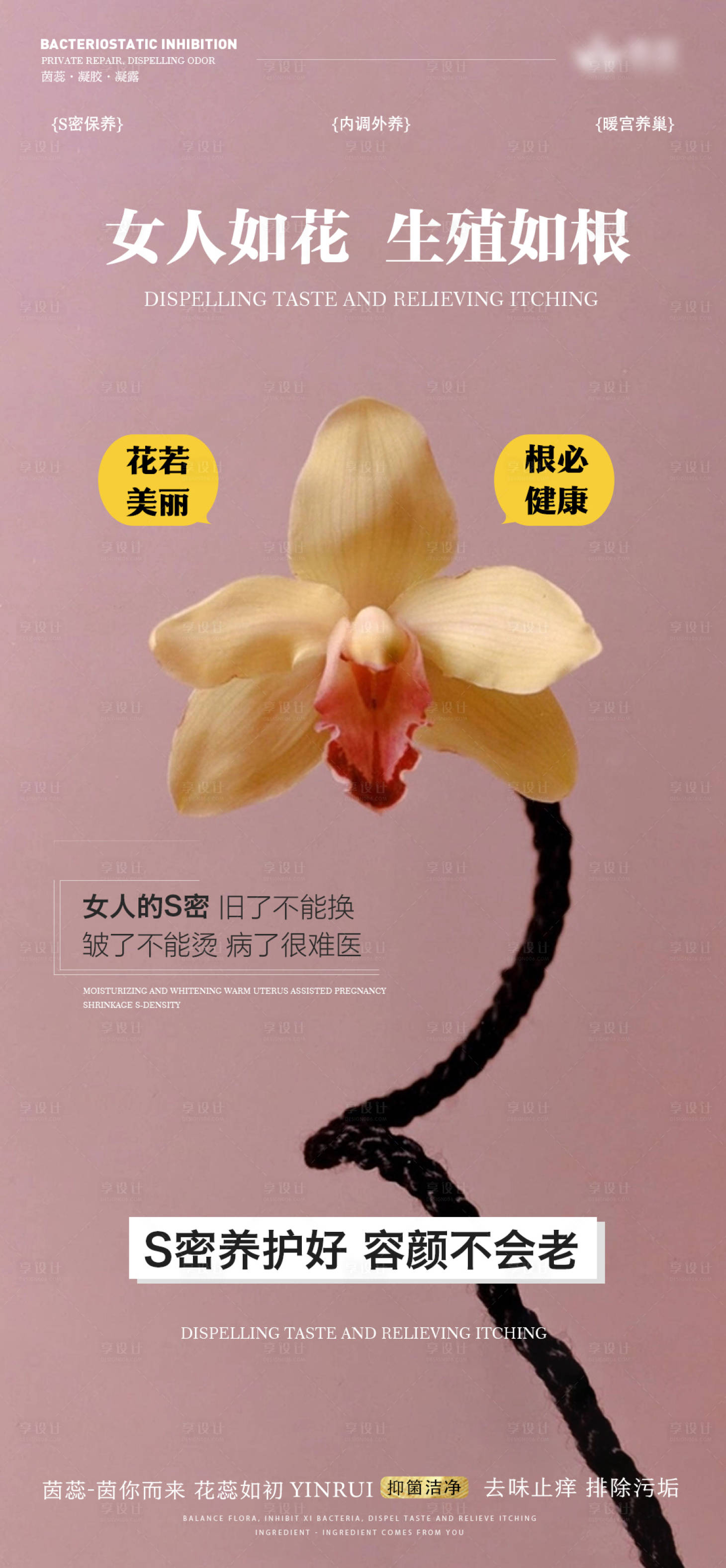 源文件下载【妇科海报】编号：49910020586775837