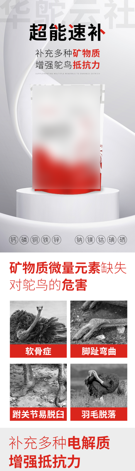 源文件下载【鸵鸟家禽详情页】编号：11400020193755448