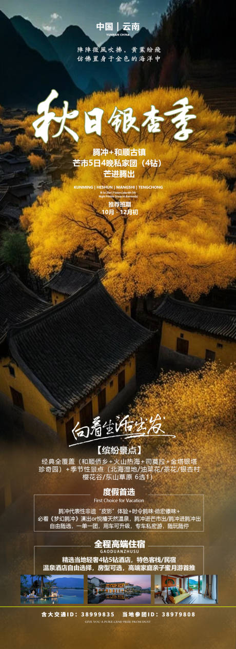 源文件下載【秋日銀杏季騰沖旅游海報】編號：12820020153051803