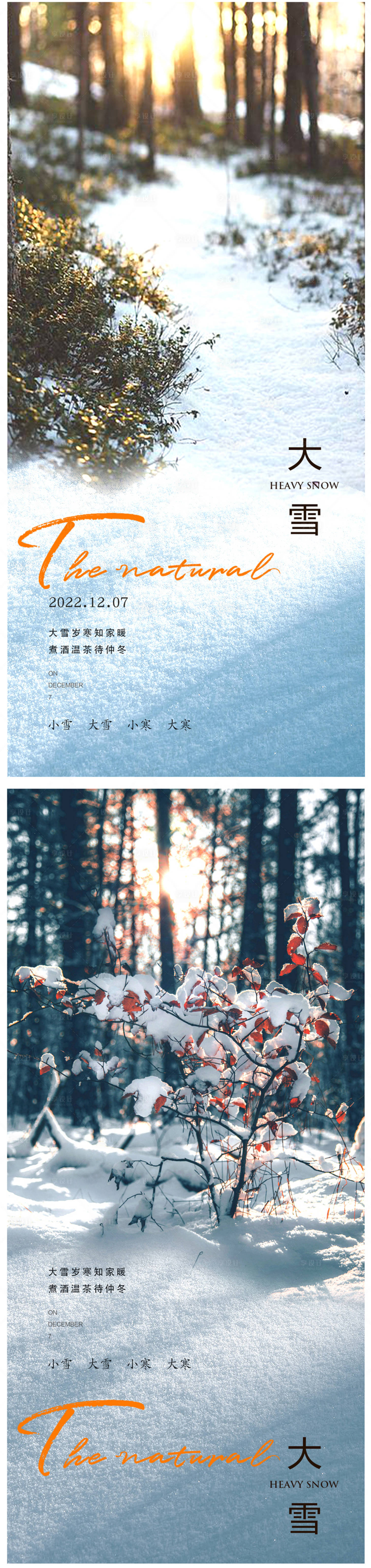源文件下载【大雪节气系列海报】编号：87640020596479563