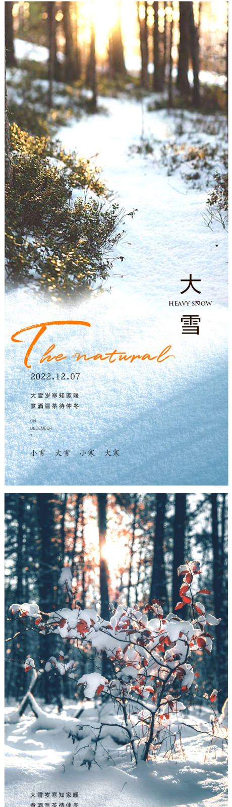 源文件下载【大雪节气系列海报】编号：20231125100555007