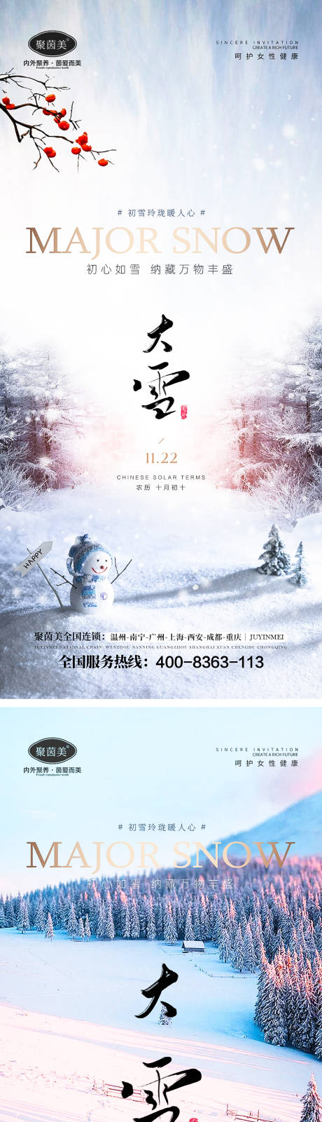 源文件下载【大雪节气海报】编号：20231130091555484