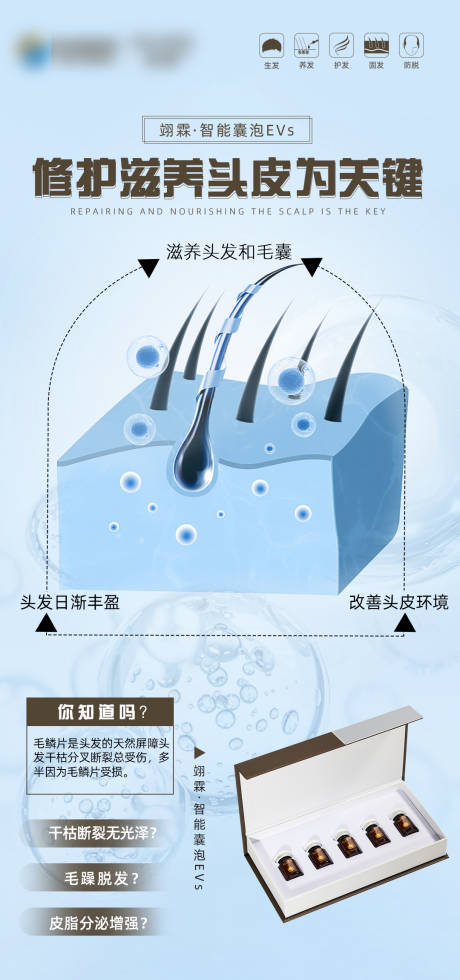 源文件下载【毛发翊霖产品海报】编号：59860020253397695