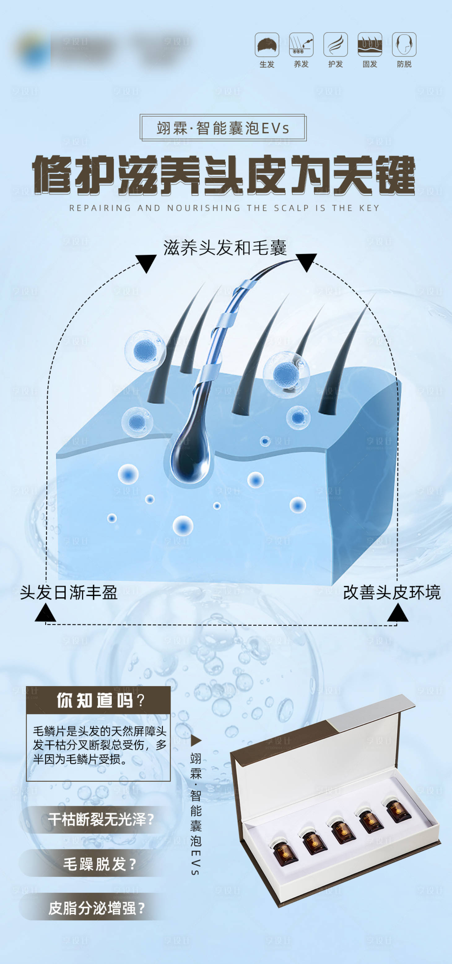 源文件下载【毛发翊霖产品海报】编号：20231107143915382