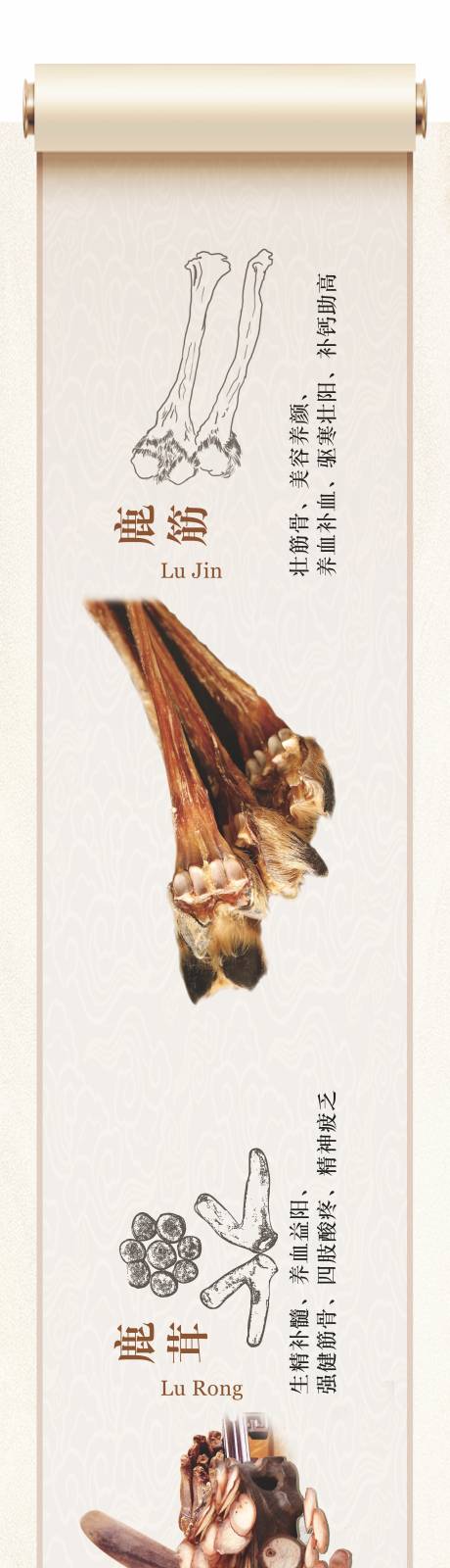 源文件下载【中药材介绍长图海报】编号：21990020325615727