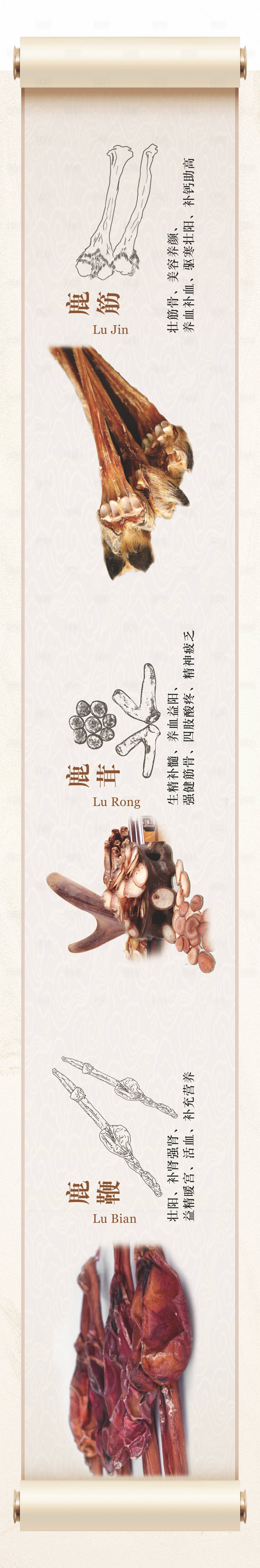源文件下載【享設計】搜索編號：21990020325615727【中藥材介紹長圖海報】