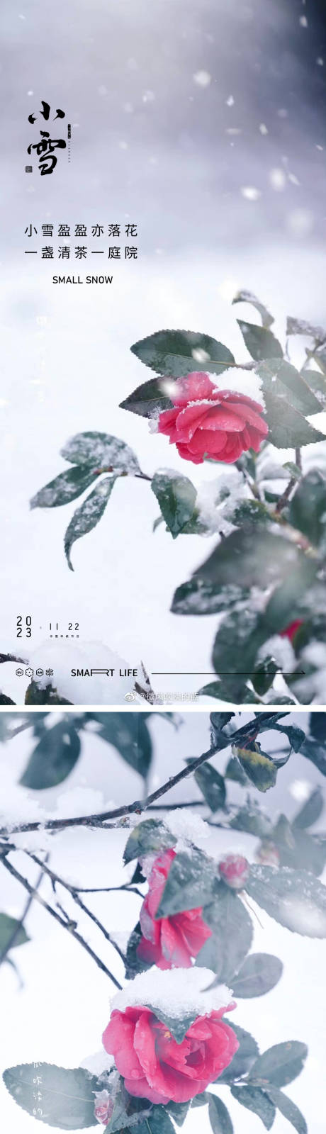 源文件下載【小雪大雪海報】編號：32880020136949257