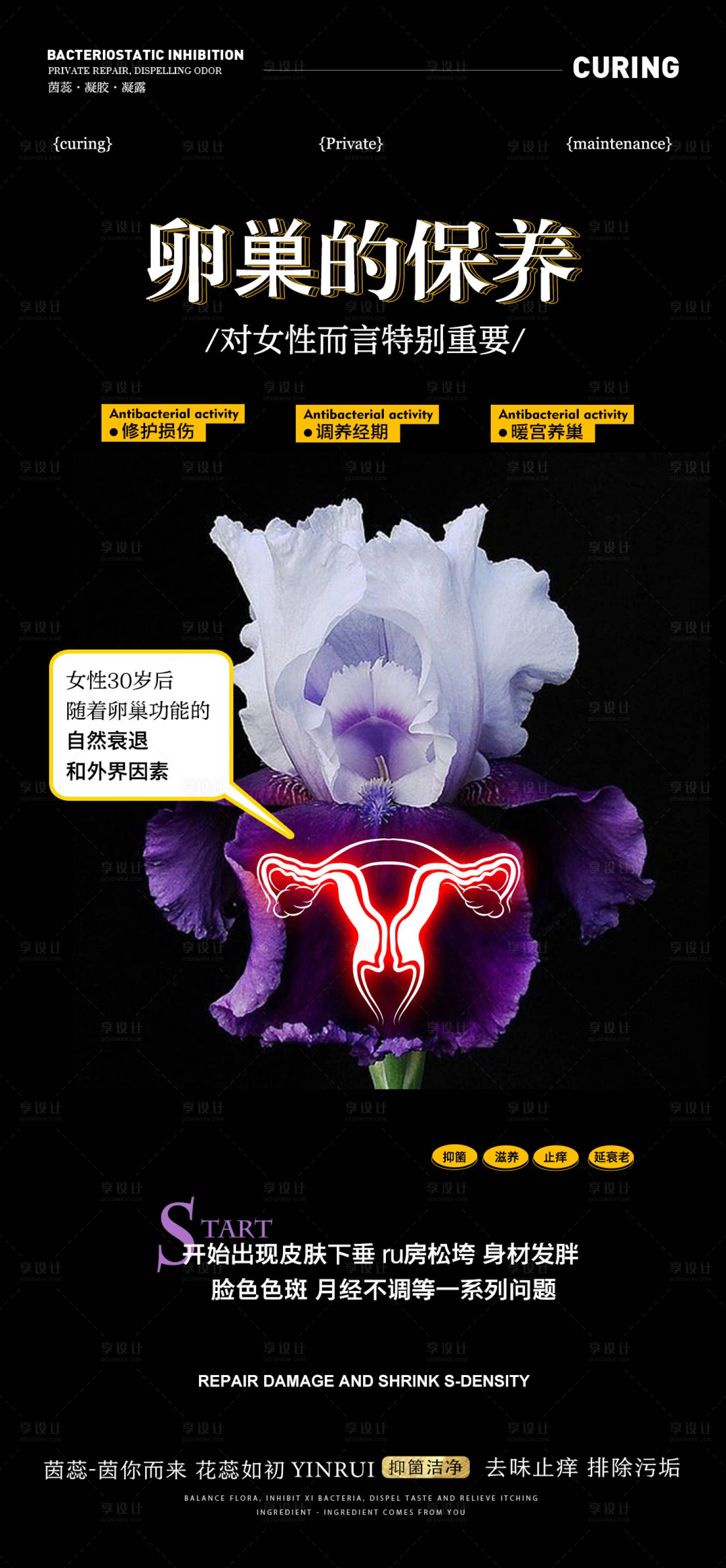 源文件下载【卵巢保养的重要性】编号：25150020963009782