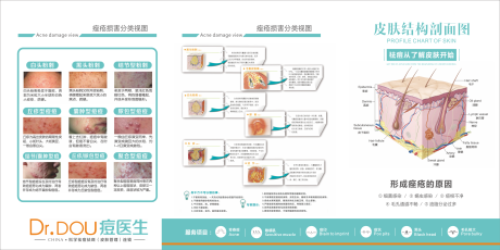 源文件下载【医美面部结构海报】编号：20231223105651193