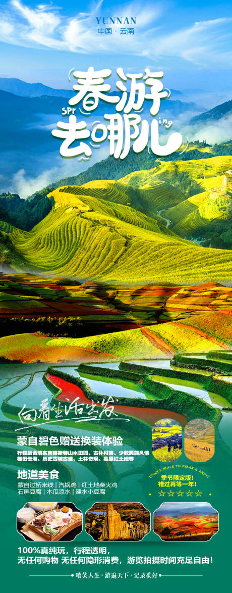 源文件下载【春游去哪儿云南旅游海报】编号：99050021203375806