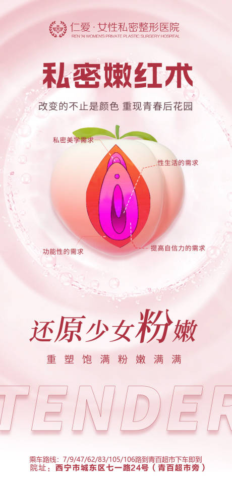 源文件下载【私密科普海报】编号：31240021088747594