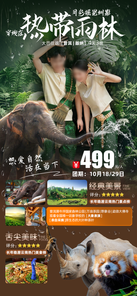 源文件下載【熱帶雨林版納旅游海報】編號：52320021067625623