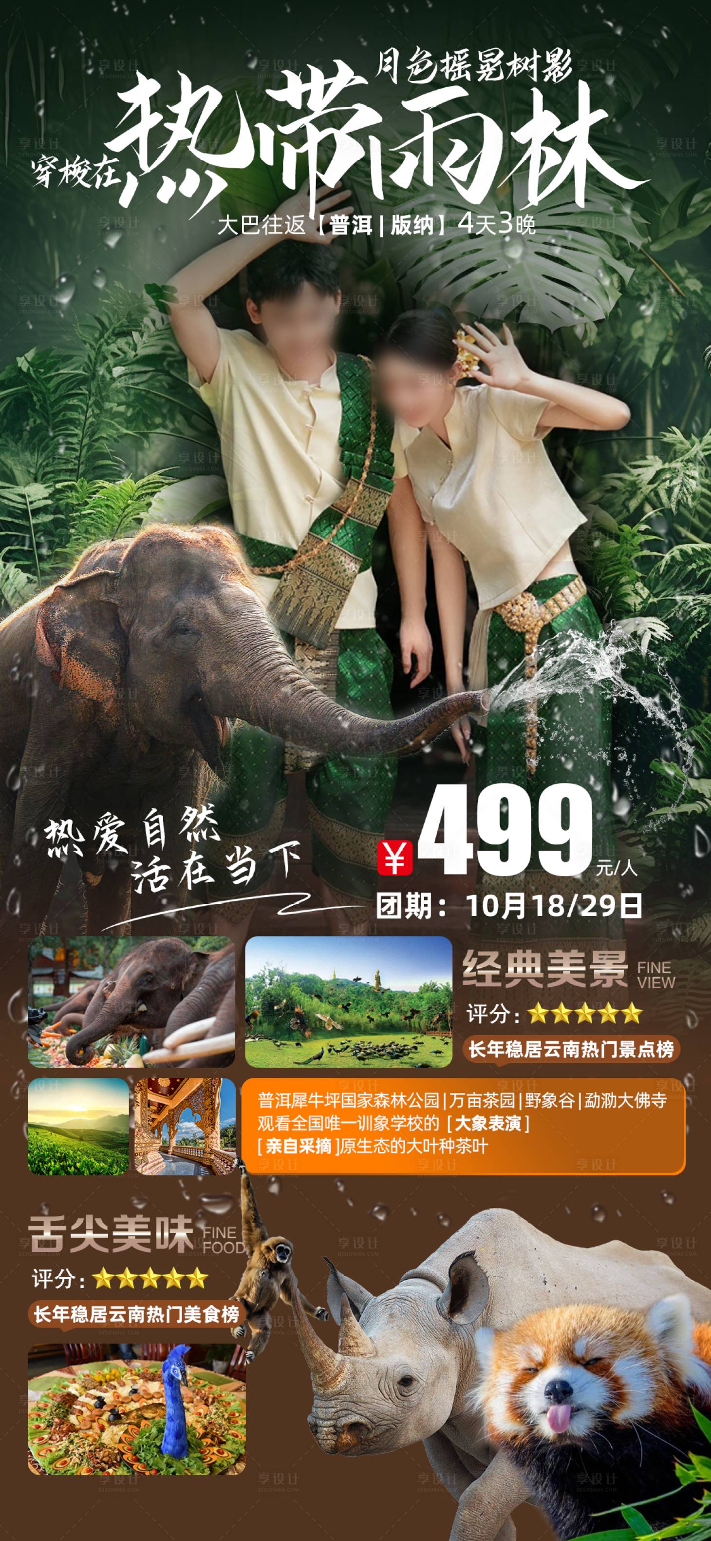 源文件下載【享設(shè)計】搜索編號：52320021067625623【熱帶雨林版納旅游海報】