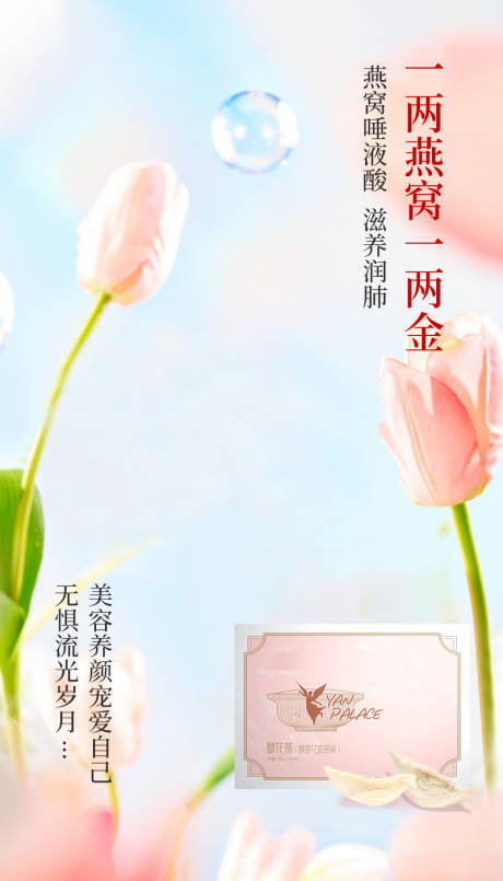 源文件下载【燕窝宣传海报】编号：13520020849227284