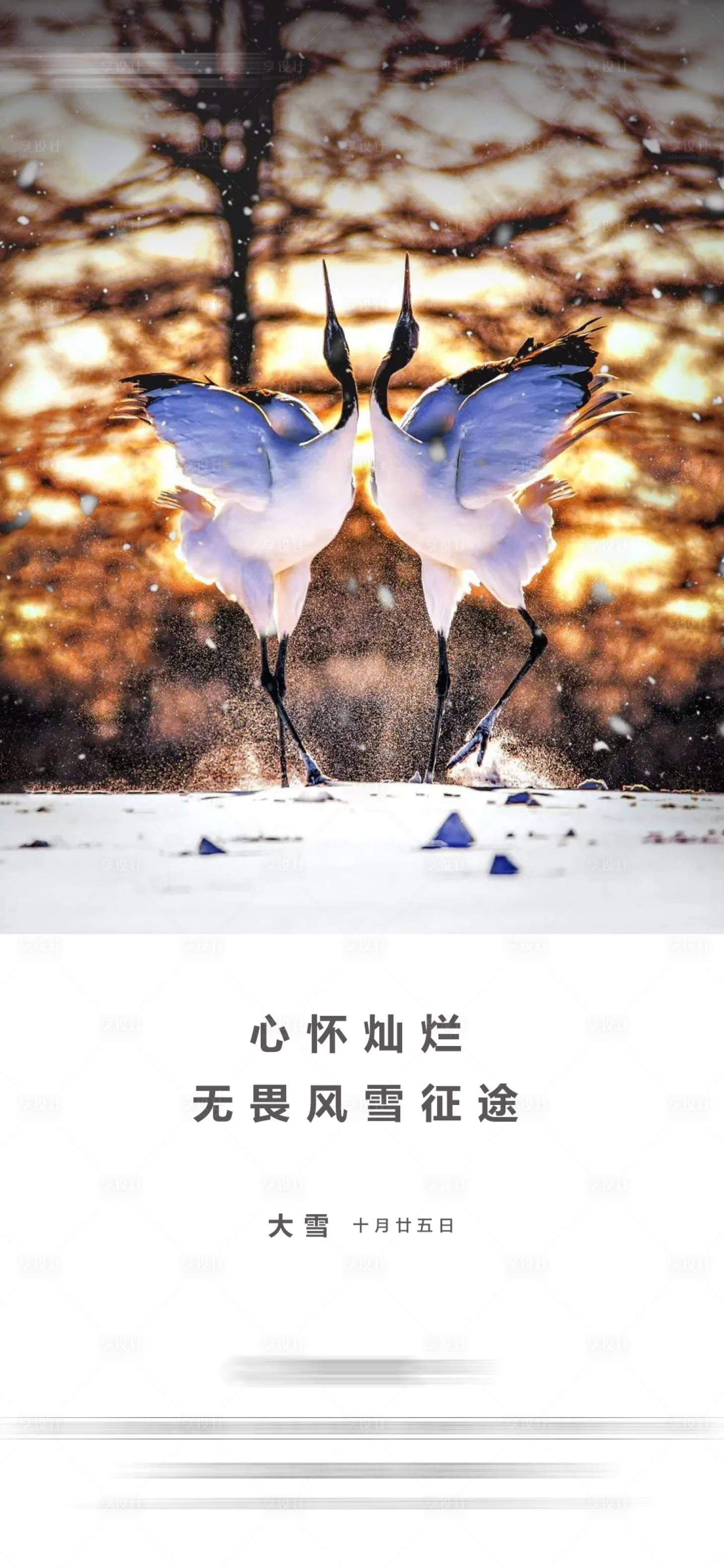 源文件下載【地產(chǎn)大雪節(jié)氣海報】編號：91270020854515087