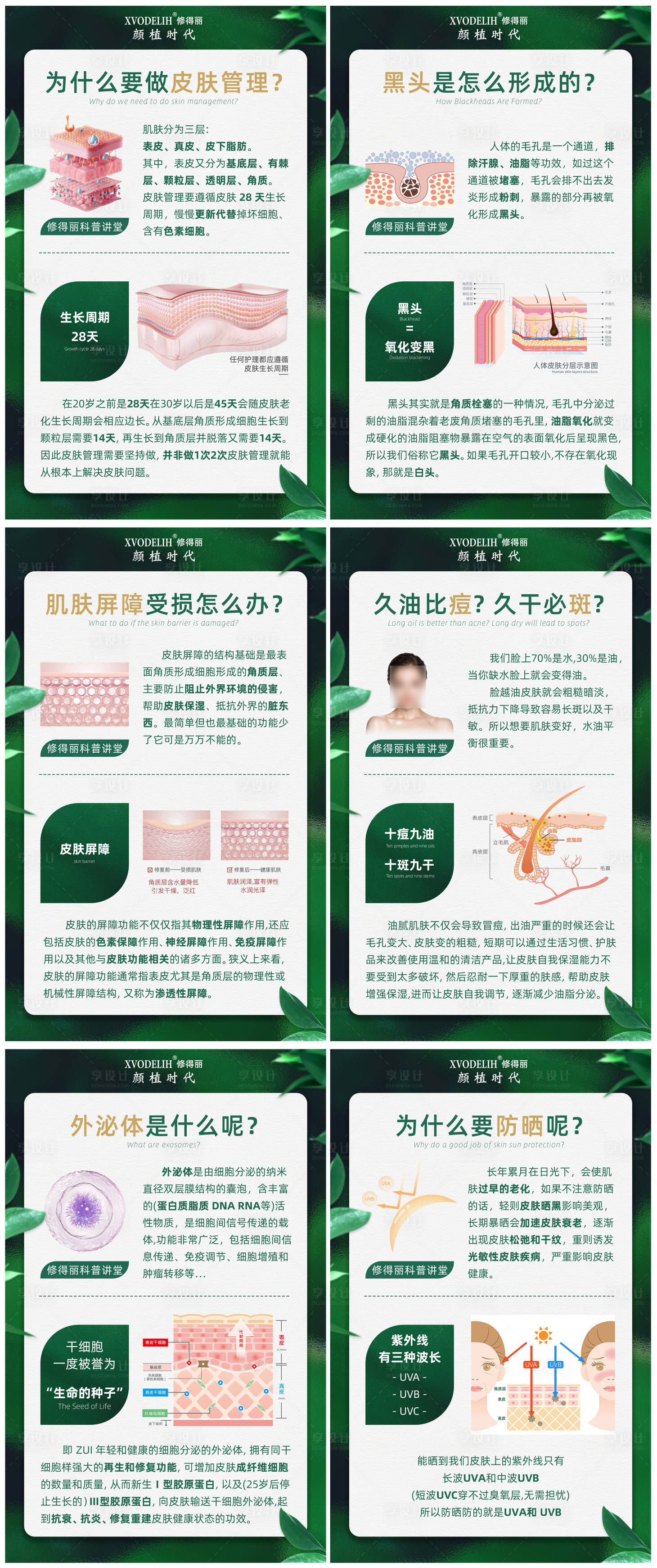源文件下载【享设计】搜索编号：51180021066642101【医美美容知识科普日签海报】