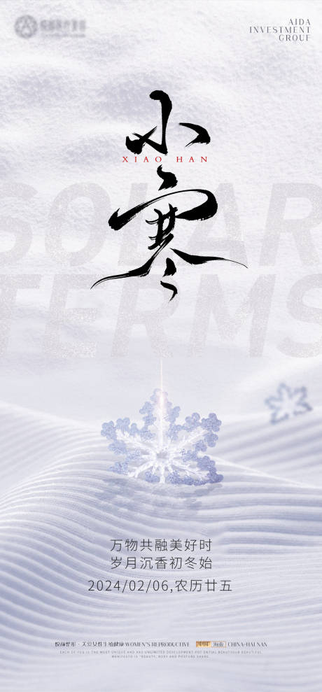 源文件下载【医美小寒节气海报】编号：19820021255956634