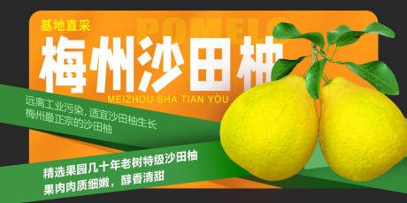 源文件下载【享设计】搜索编号：40440020776725044【沙田柚柚子海报】