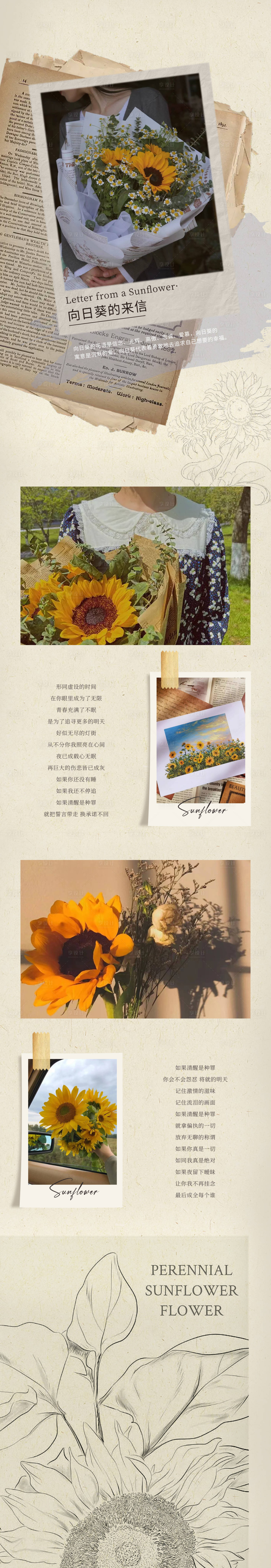 源文件下载【享设计】搜索编号：89300020916843131【向日葵的来信长图海报】